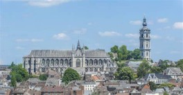 Mons, Collégiale