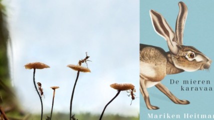 "De mierenkaravaan" - Mariken Heitman